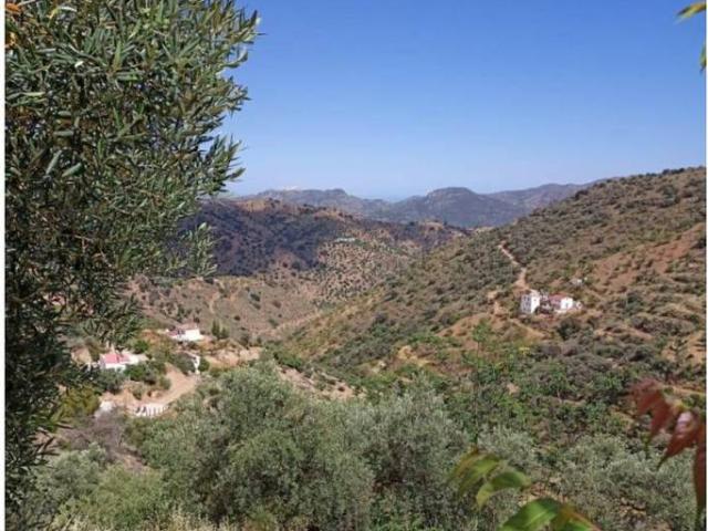 Terreno en venta en Málaga, Centro Histórico
