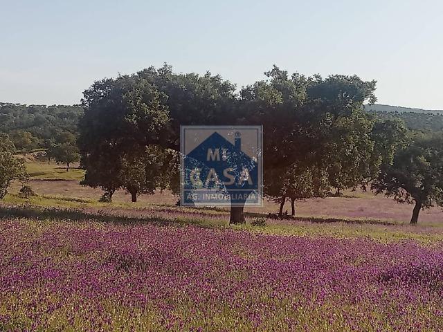 Terreno en venta en Oliva De Mérida, Extremadura