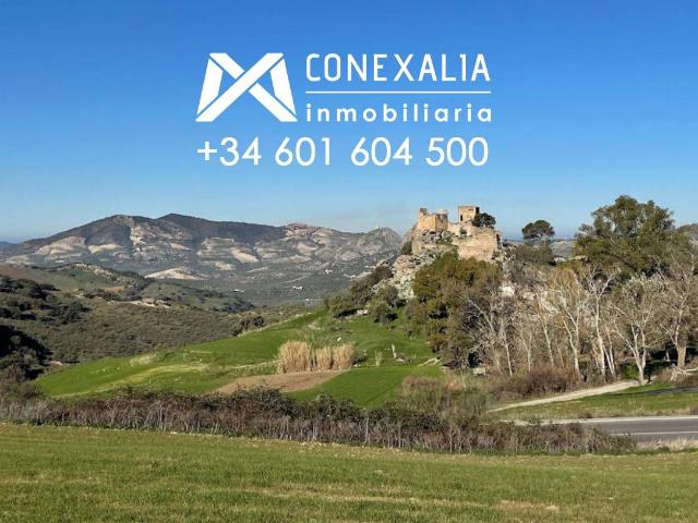 Terreno en venta en Barrio de la Villa, Sierra de Cádiz