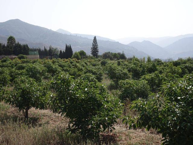 Terreno en venta en Comarca de la Alpujarra Granadina, Andalucía