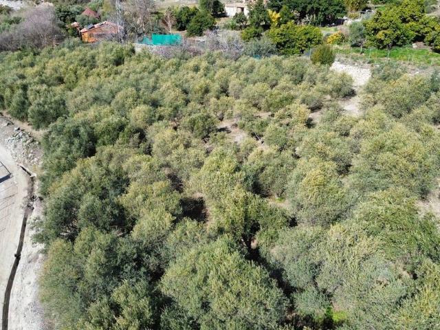 Terreno en venta en Comarca de la Alpujarra Granadina, Andalucía