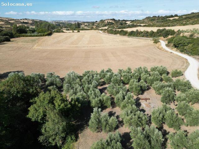 Local Comercial en venta en Orísoain, Navarra