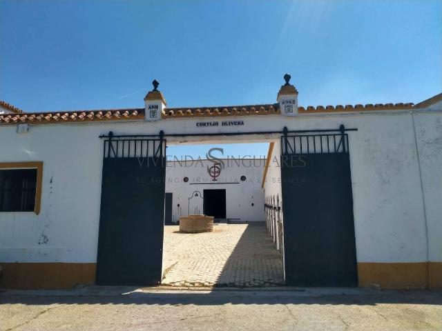 Terreno en venta en Alcalá De Guadaíra, Andalucía