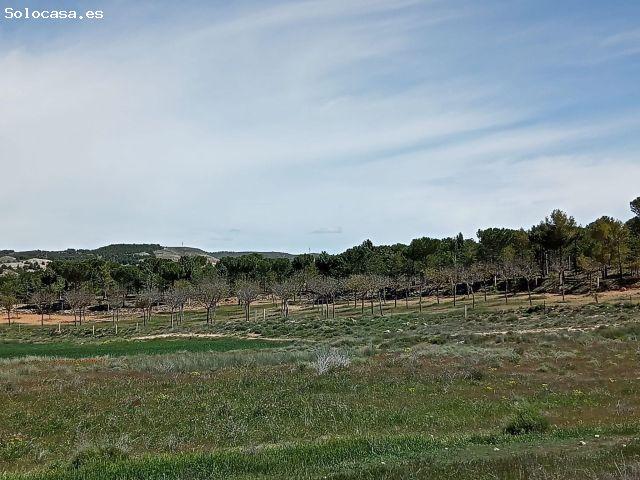 Local Comercial en venta en Comunidad de Teruel, Aragón