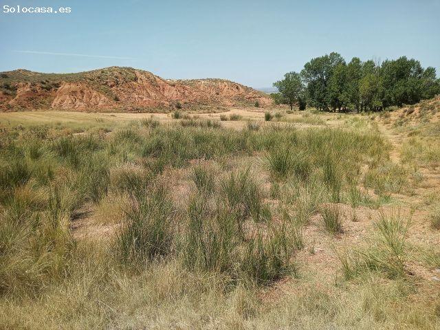 Local Comercial en venta en Castralvo, Comunidad de Teruel