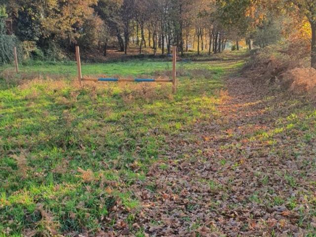 Chalet en venta en Padrón, O Sar
