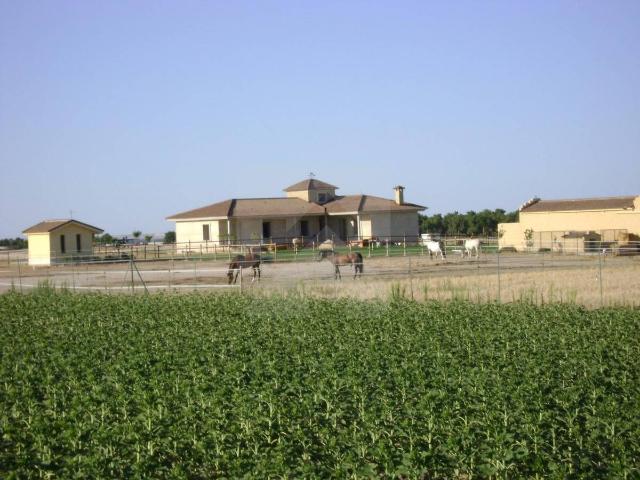 Terreno en venta en Palacios De Goda