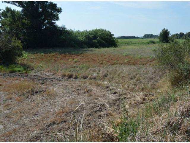 Local Comercial en venta en Alt Empordà, Catalunya