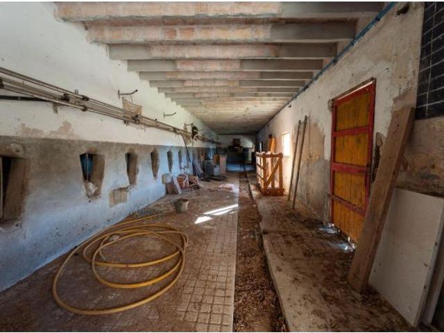 Local Comercial en venta en Son Gotleu, Palma