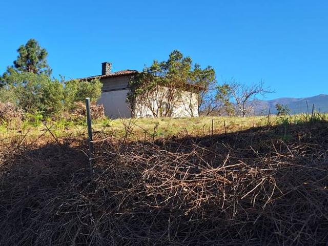 Terreno en venta en Realejo Alto, Los Realejos