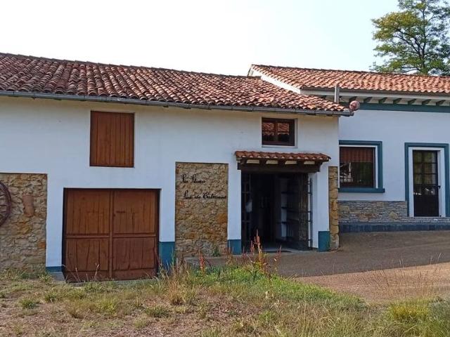 Terreno en venta en Santolaya, Siero