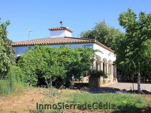 Terreno en venta en Utrera, Andalucía
