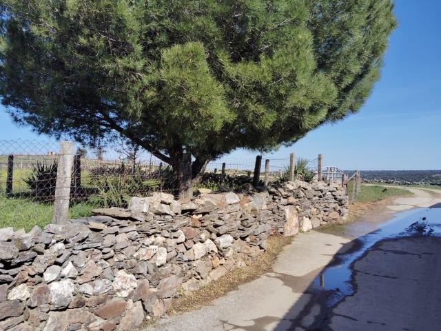 Terreno en venta en Pedrosillo De Los Aires, Salamanca