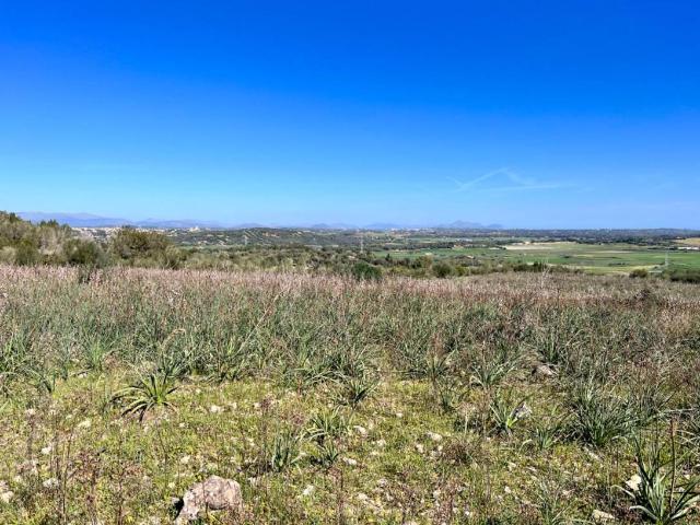 Terreno en venta en Pla de Mallorca, Baleares