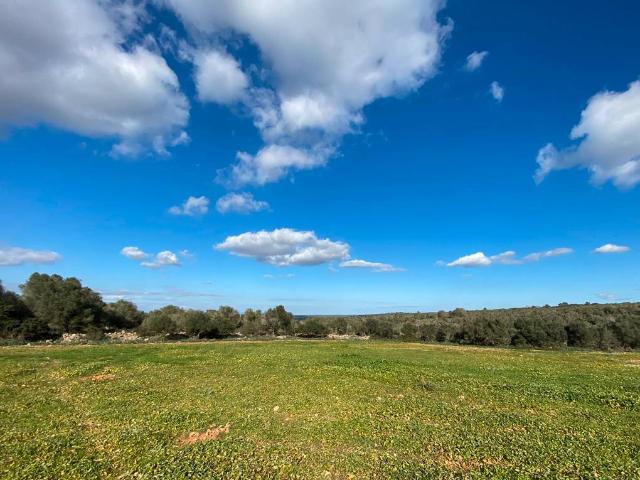 Terreno en venta en Pla de Mallorca, Baleares