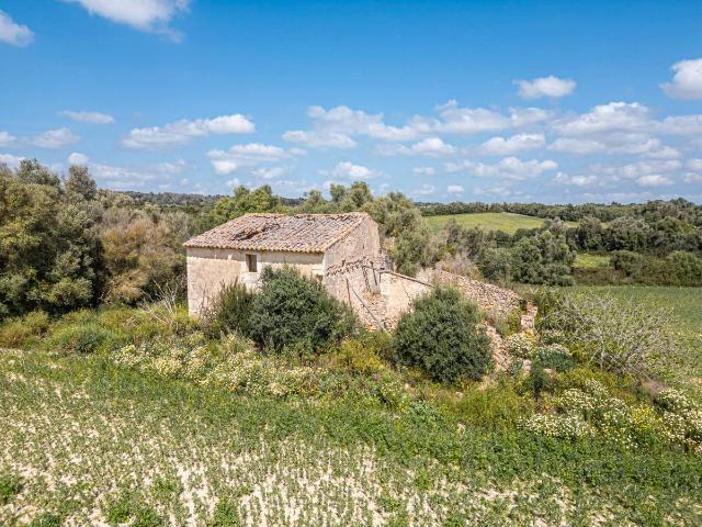 Terreno en venta en Petra