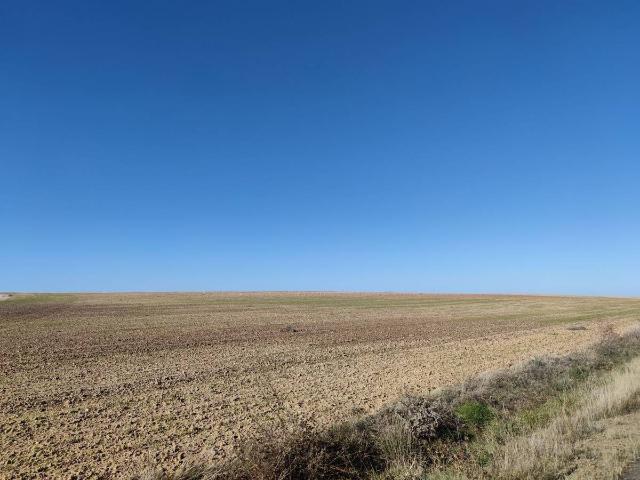 Terreno en venta en Peñaranda De Bracamonte, Castilla y León
