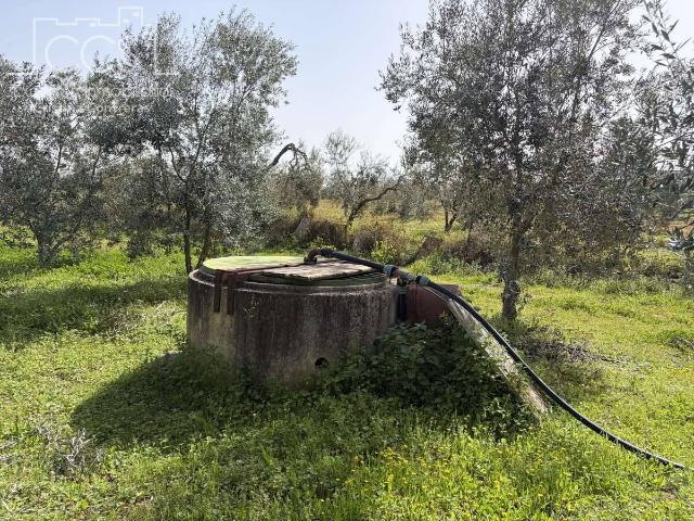 Terreno en venta en Pilas, Andalucía