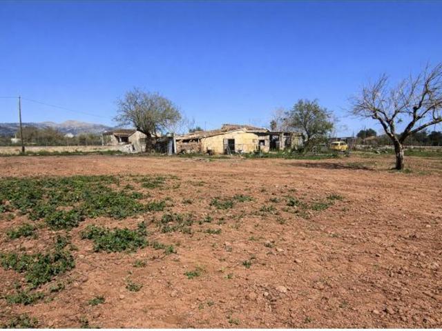 Local Comercial en venta en Crist Rei, Raiguer