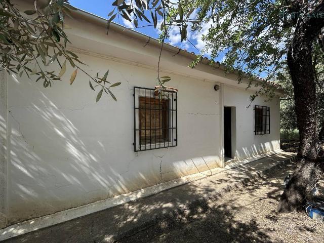Terreno en venta en Pinos Genil