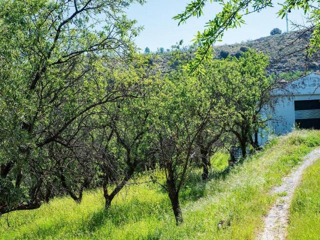 Terreno en venta en Comarca de la Vega de Granada, Andalucía