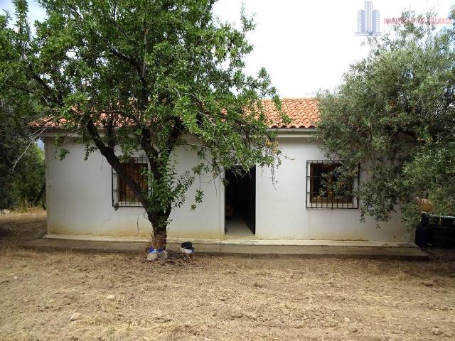 Terreno en venta en Comarca de la Vega de Granada, Andalucía