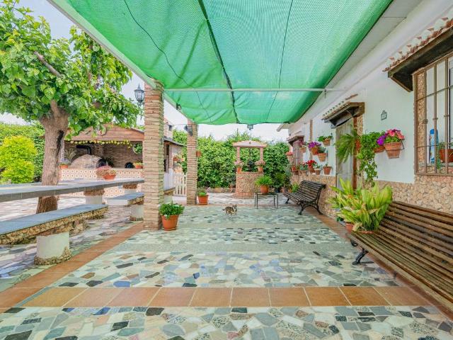 Terreno en venta en Pinos Puente, Vista Alegre