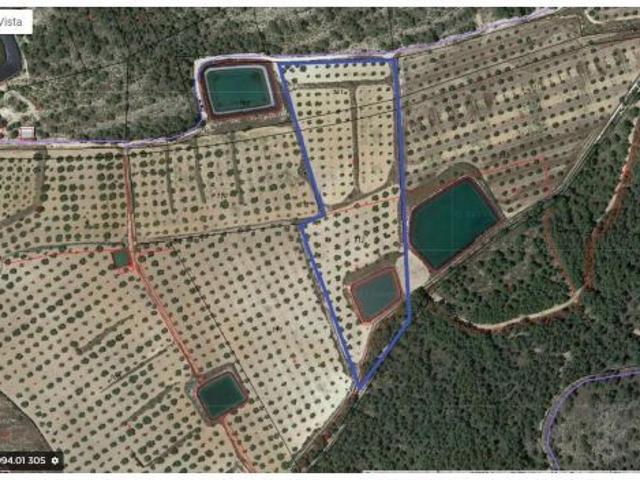Local Comercial en venta en Río Mula, Murcia