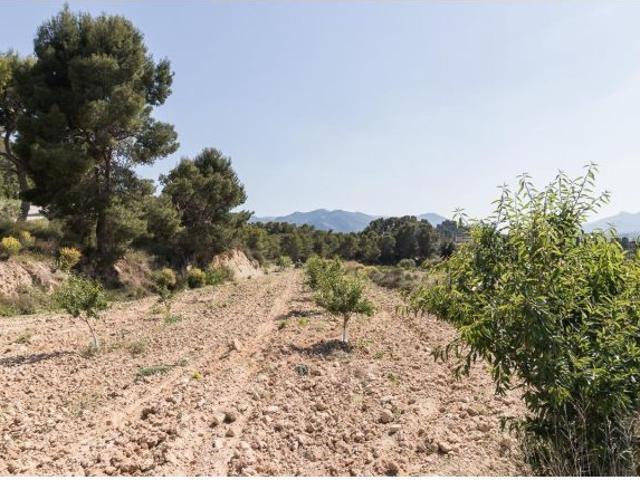 Local Comercial en venta en Río Mula, Murcia
