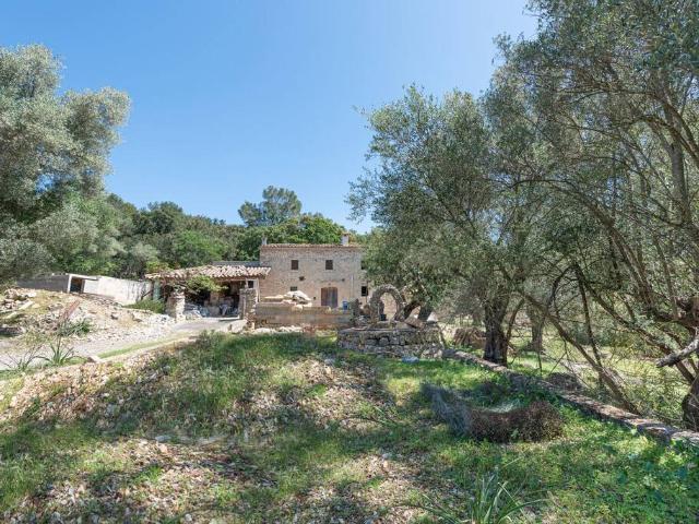 Terreno en venta en Serra de Tramuntana, Baleares