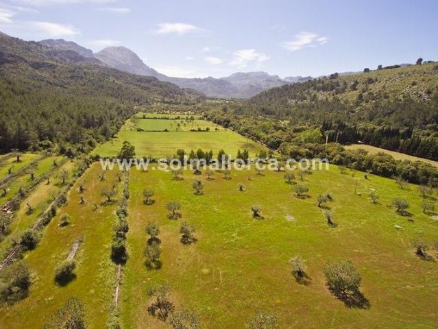 Terreno en venta en Pollença, el Camp