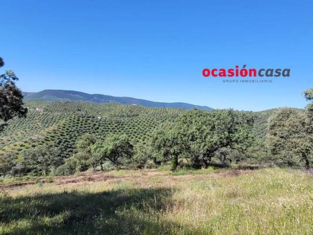 Terreno en venta en Pozoblanco, Andalucía