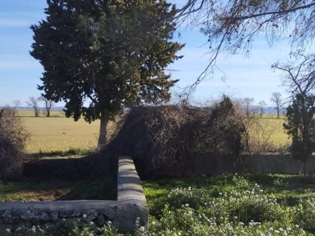 Terreno en venta en Pozorrubio