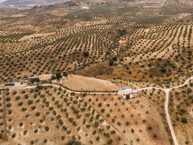 Terreno en venta en Priego De Córdoba, Andalucía