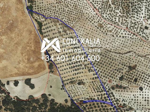 Terreno en venta en Pruna, Andalucía
