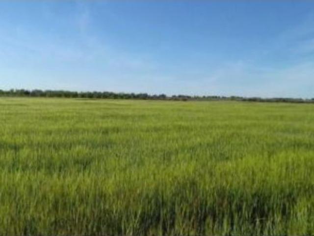 Local Comercial en venta en La Puebla De Almoradiel, Castilla-La Mancha