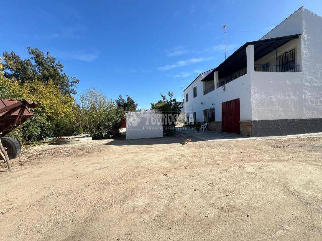 Terreno en venta en Barrio de la Isla, Puente Genil