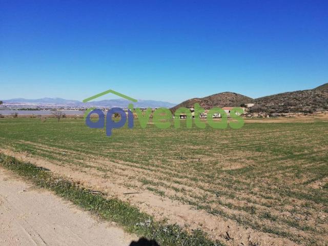 Terreno en venta en Lorca, San Mateo