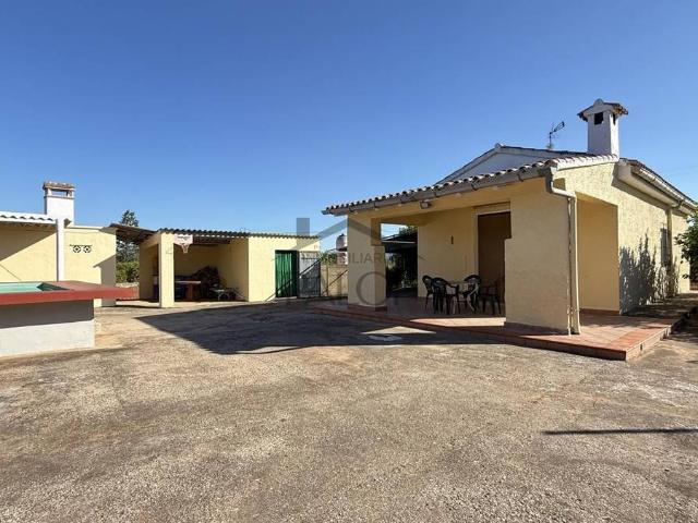 Terreno en venta en la Ribera Alta, Valencia