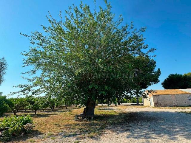Terreno en venta en Redován, Alacant / Alicante