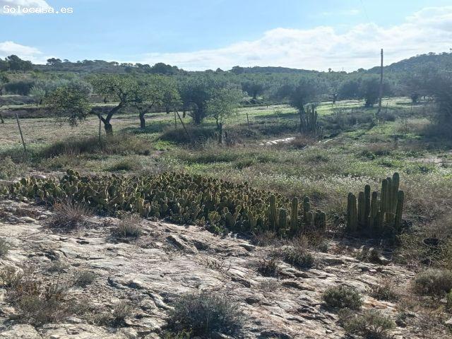 Local Comercial en venta en la Marina Baixa, Valencia