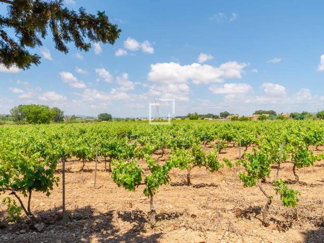 Terreno en venta en El Arrabal, La Plana de Utiel-Requena