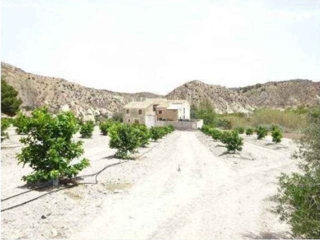 Local Comercial en venta en Valle de Ricote, Murcia