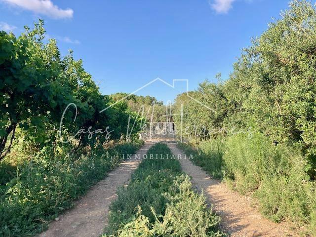 Terreno en venta en Baix Camp, Catalunya