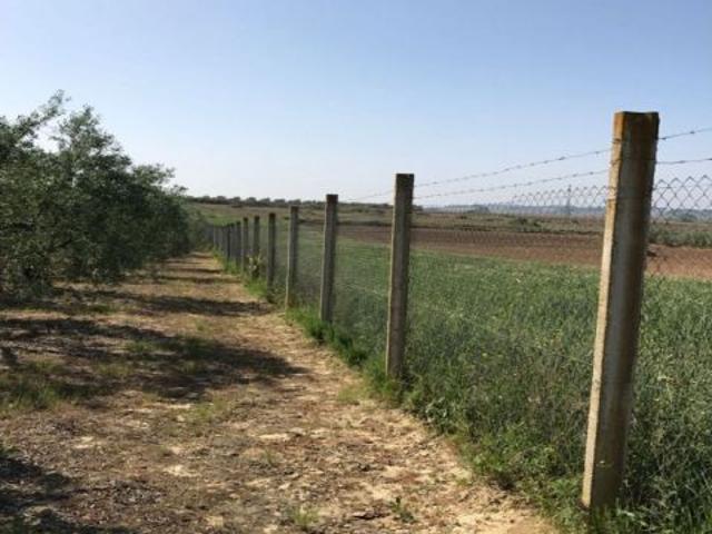 Local Comercial en venta en El Condado, Andalucía