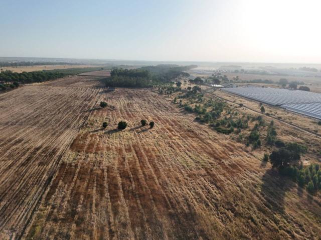 Terreno en venta en El Condado, Andalucía