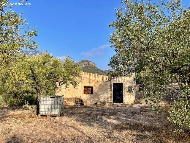 Local Comercial en venta en Roquetes