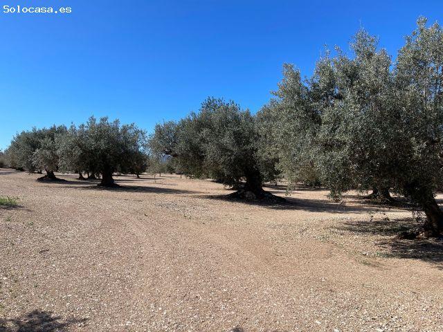 Local Comercial en venta en Roquetes