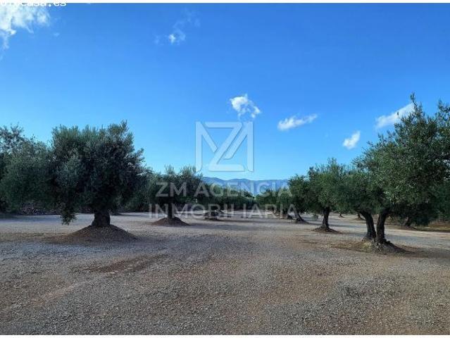 Local Comercial en venta en Segrià, Catalunya