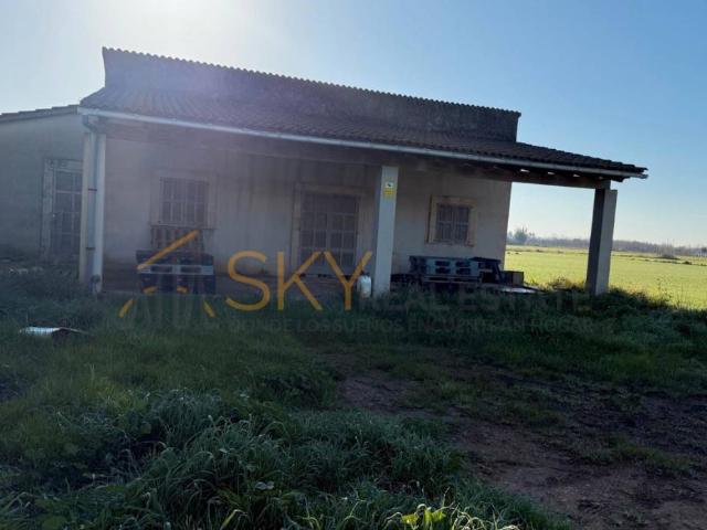 Terreno en venta en Raiguer, Baleares